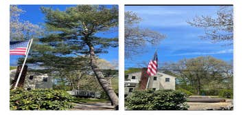 Photos by America Tree Services #1