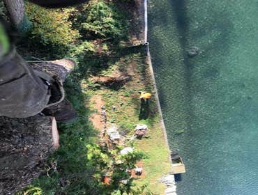 Photos from Hoyts Tree Service