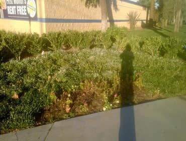 Photo(s) from All Green Maintenance