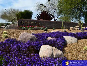Westin Kierland