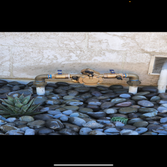 Golden Coast plumbing & Rooter Inc