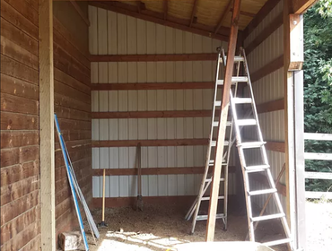 Photos by Kiwis Property Management and Improvements Inc #1