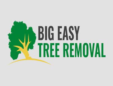 Photos by Big Easy Tree Removal #1