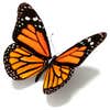 Monarch Homes LLC logo