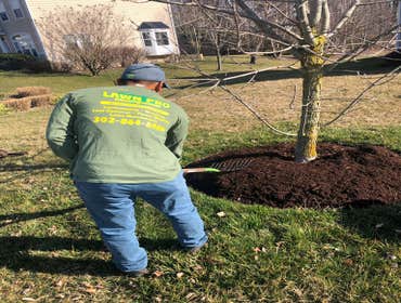 Photos by Lawn Pro Services LLC #16