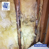 Photos by Nordic Properties And Insulation LLC #2