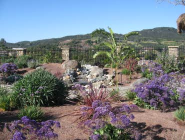 Native landscape