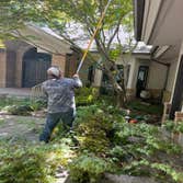 Photos by Gallardo Tree Service LLC #3