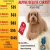 ALPine Deluxe Carpet logo