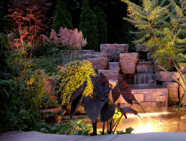Backyard Waterfall
