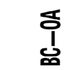Breitner Bronwyn Alexia Summer logo