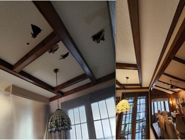 Popcorn Ceilings