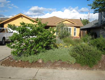 Front Yard as Native Plant Wildlife Habitat