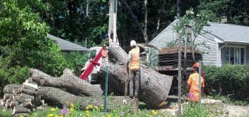 Rod's Tree Service & Landscaping LLC