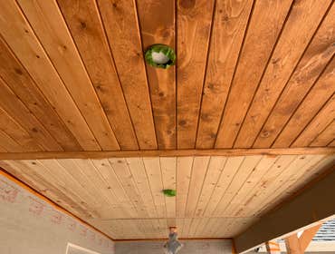 Photos by Restoration Paint Company LLC #1