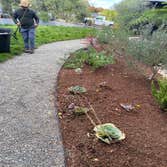 Photos by Sam´s Garden Maintenance Service #3