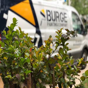 Burge Painting Company