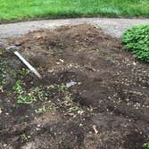 Spring Clean/Mulching
