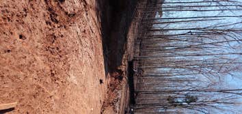 Site Prep for New Construction