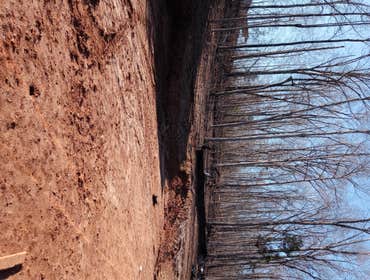 Site Prep for New Construction