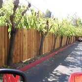 Photo(s) from Tromler Construction