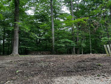 Flores Tree Services General & Landscaping