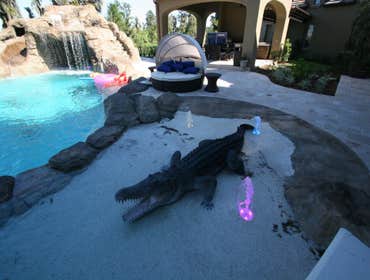 Photo(s) from Dixie Pools & Spas, Inc.
