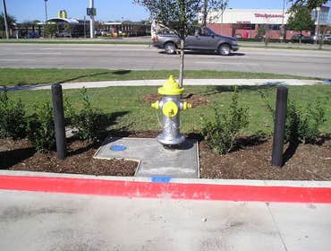 Jack in the Box - New Construction