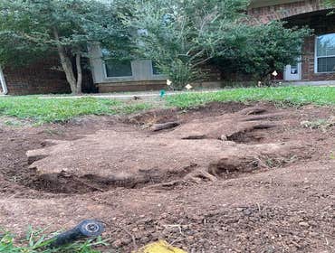 Photos by Atx Blue Star Tree Service #1