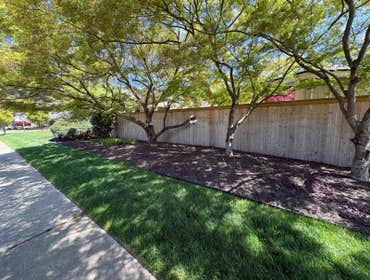 Photos by Beauty Meister Landscaping LLC #2