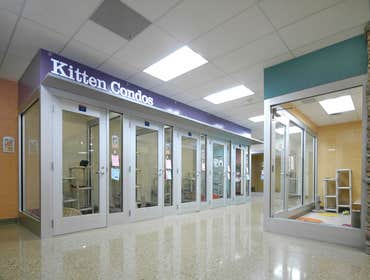Humane Society of Huron Valley