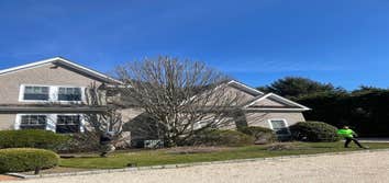 Photos by Jose Tree Service #1