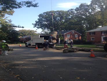 Photo(s) from Bonilla Tree Service Inc