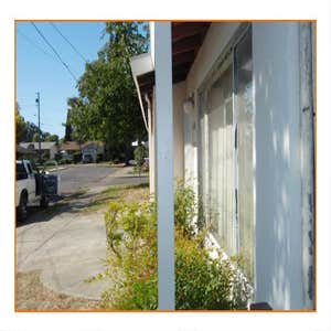 Twin Trellises