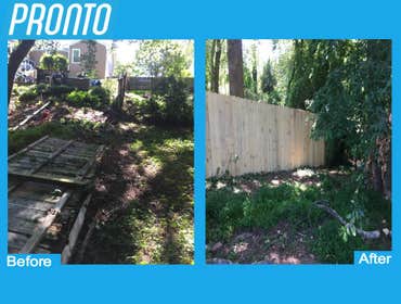 Before and After Photos