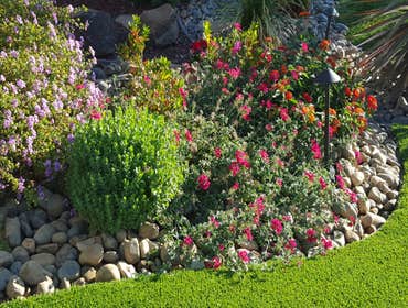 Photo(s) from Gilly's Landscape & Design