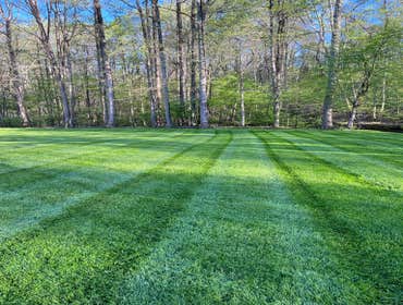 Photos by Hernandez ASSOC. Landscaping