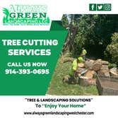 Photos by Always Green Landscaping #3