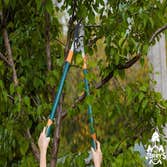 Master of Tree Care Services Inc