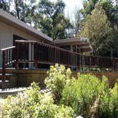 Photos from Ben Ruiz Tree And Landscaping Contractor
