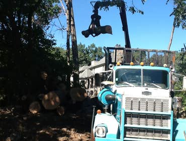 Works by Final Touch Tree Serv
