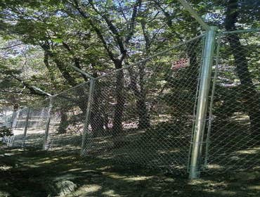 Fences