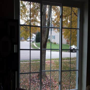 Photos from Windows on Washington Ltd