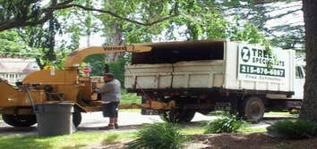 Cheltenham ave. NE Phila Clear 5 trees to clean up property and make room for a veterans home facility.