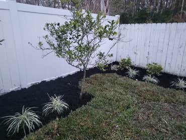 Photos by Marios Landscaping Jax #6