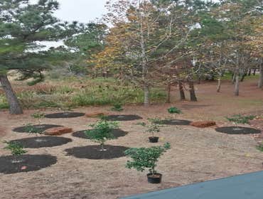 Projects and Plants This gallery shows a combination of projects and beautiful Native Plants. Projects that meet the requirements of a National Wildli