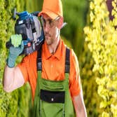 Maplewood Tree Service