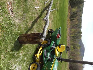 Tree Cutting