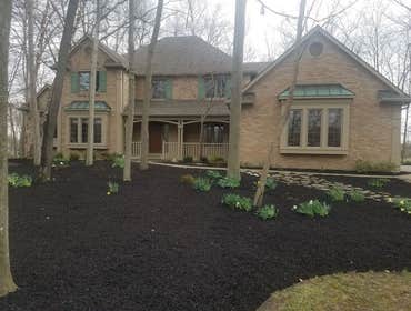 Photos by Jm Landscape and Tree Services #1