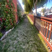 Photos by Economy Grass Systems Inc #3
